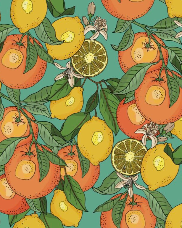 Touch & Frame - Summer fruit